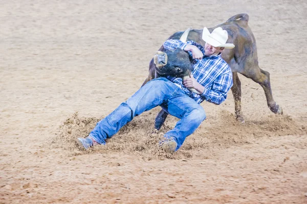 Clark County Fair and Rodeo — Stock Photo, Image