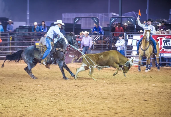 Clark county fair i rodeo — Zdjęcie stockowe