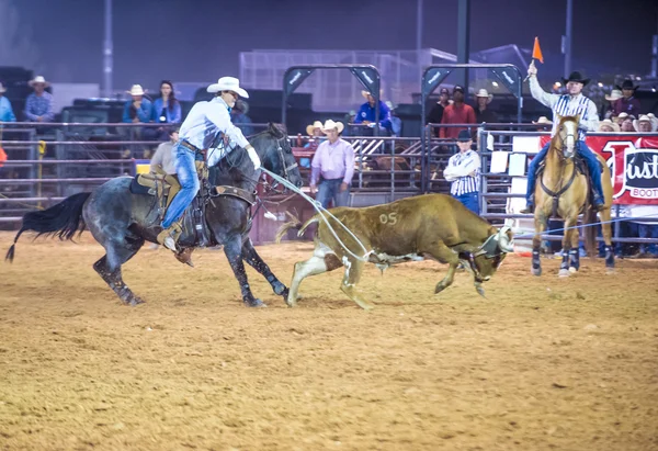 Clark county fair en rodeo — Stockfoto