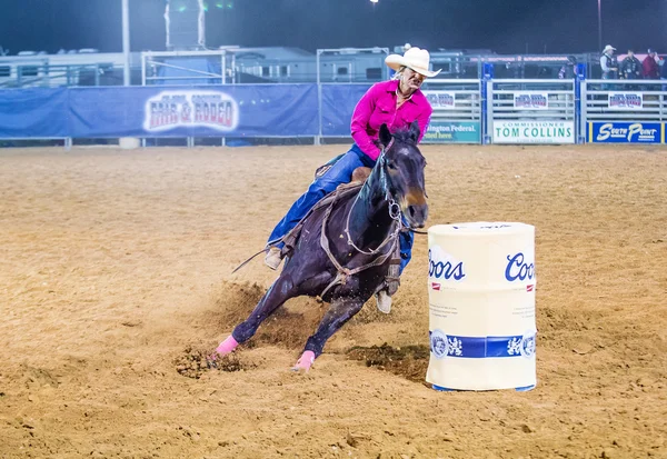 Feria y Rodeo del Condado de Clark — Foto de Stock