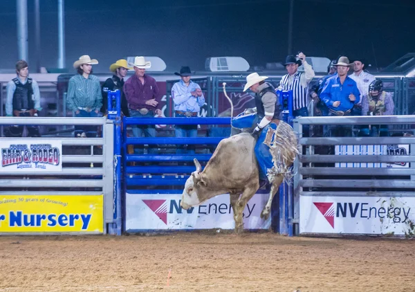 Clark county fair och rodeo — Stockfoto