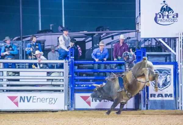 Clark county fair en rodeo — Stockfoto