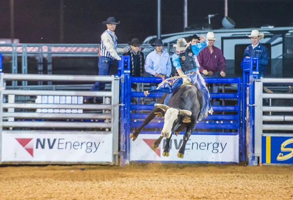 Clark County Fair and Rodeo — Stock Photo, Image