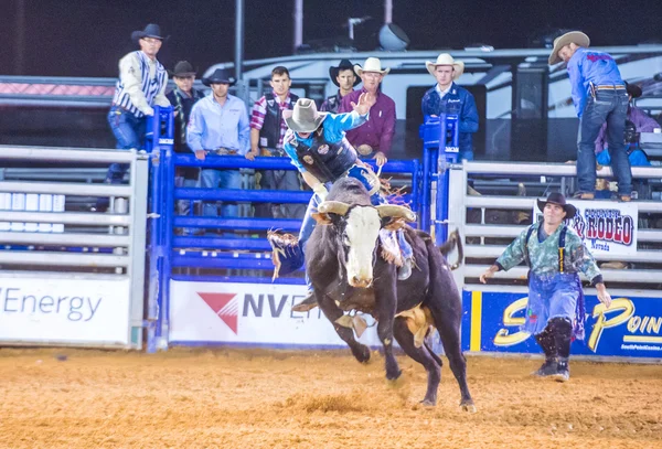 Clark county fair en rodeo — Stockfoto