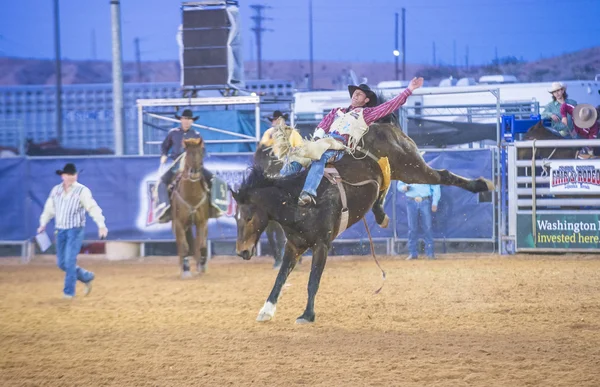 Feria y Rodeo del Condado de Clark — Foto de Stock