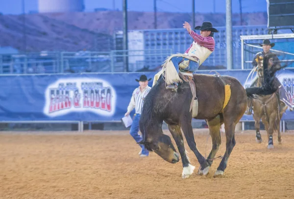 Clark county fair och rodeo — Stockfoto