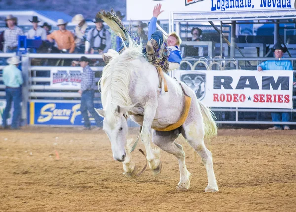 Clark county fair i rodeo — Zdjęcie stockowe