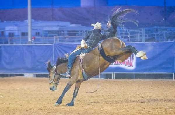 Clark County Fair and Rodeo — Stock Photo, Image