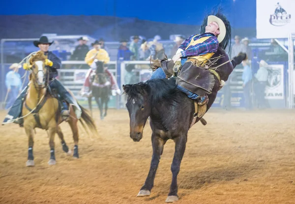 Clark county fair en rodeo — Stockfoto