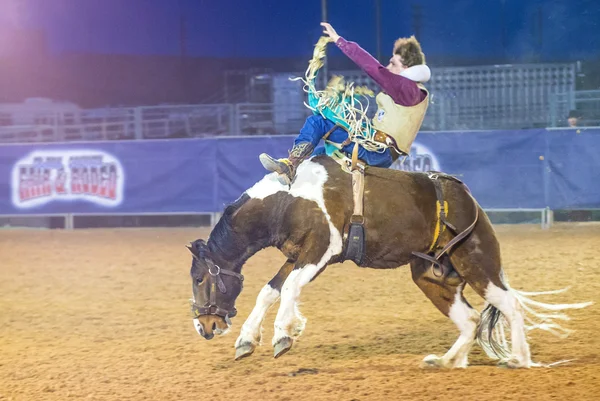 Clark County Fair and Rodeo — Stock Photo, Image