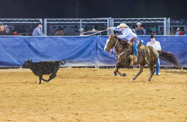 Clark county Fuar ve rodeo — Stok fotoğraf