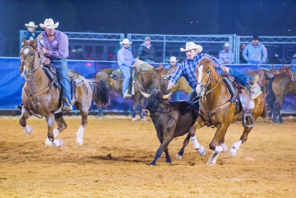 Clark county fair i rodeo — Zdjęcie stockowe