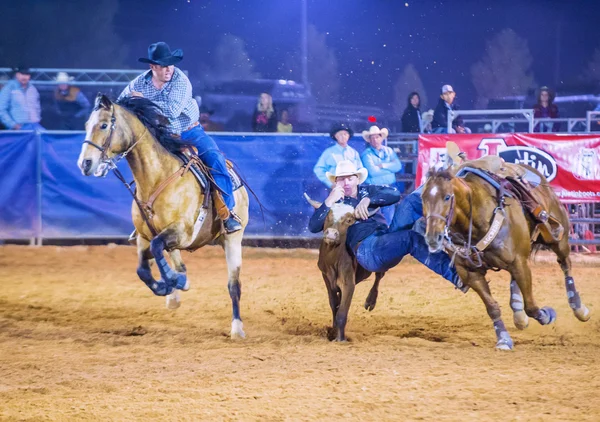 Clark county fair i rodeo — Zdjęcie stockowe