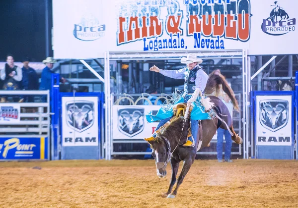 Clark County Fair e Rodeo — Fotografia de Stock