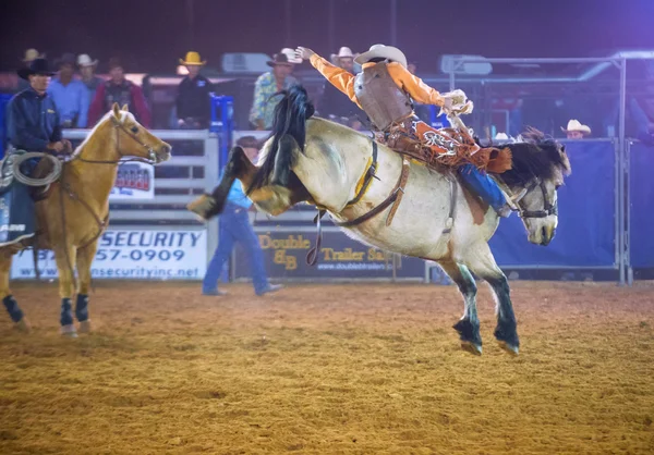 Clark County Fair e Rodeo — Fotografia de Stock