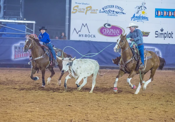 Clark county fair a rodeo — Stock fotografie