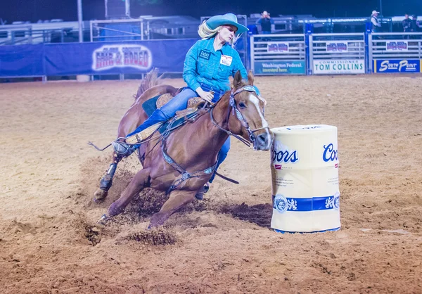 Feria y Rodeo del Condado de Clark — Foto de Stock