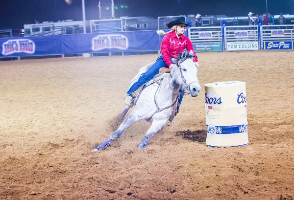 Feria y Rodeo del Condado de Clark — Foto de Stock