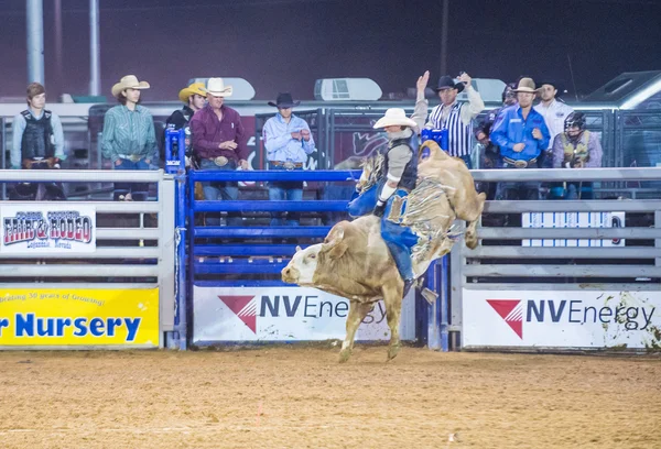 Clark county fair en rodeo — Stockfoto