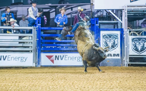 Kirmes und Rodeo — Stockfoto