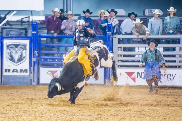 Clark county fair a rodeo — Stock fotografie