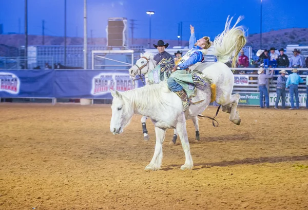 Clark County Fair e Rodeo — Fotografia de Stock