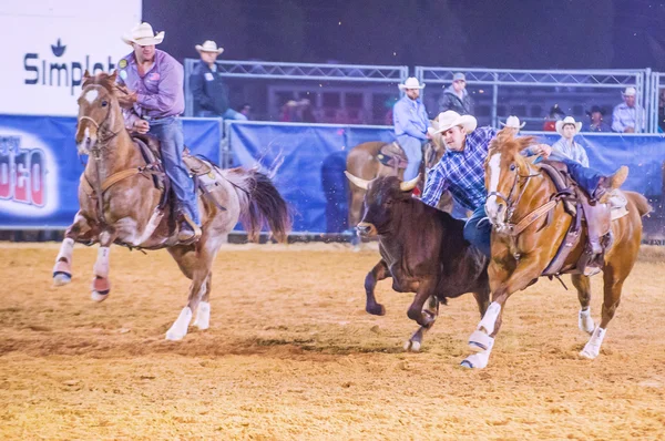 Clark county fair και ροντέο — Φωτογραφία Αρχείου