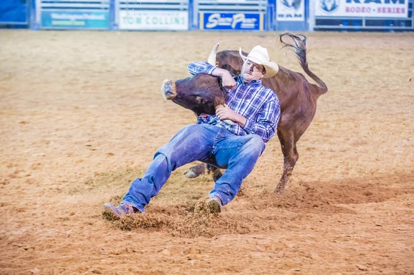 Clark county fair och rodeo — Stockfoto