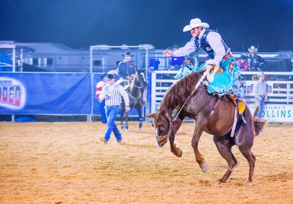 Clark county fair i rodeo — Zdjęcie stockowe