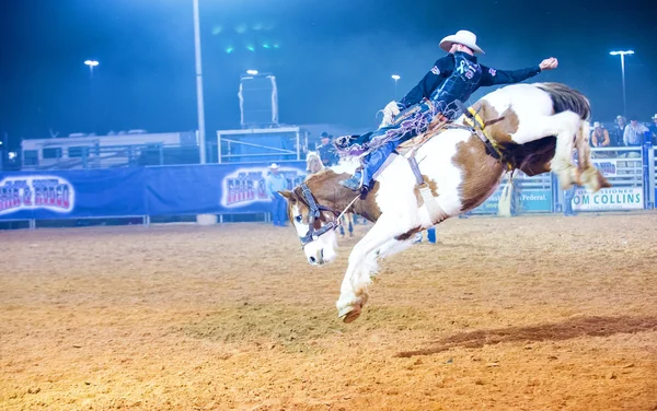 Clark county fair och rodeo — Stockfoto