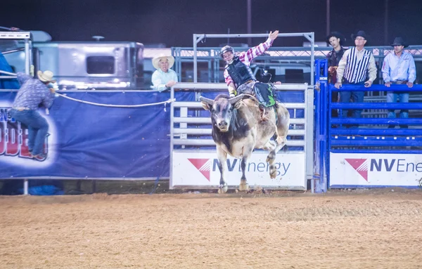 Clark county fair en rodeo — Stockfoto