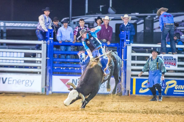 Clark county fair και ροντέο — Φωτογραφία Αρχείου