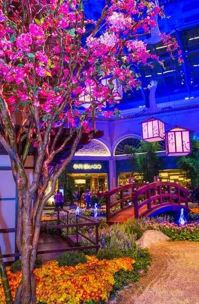 ベラージオ ホテルのコンサバトリー ・植物園 — ストック写真