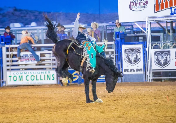 Kirmes und Rodeo — Stockfoto