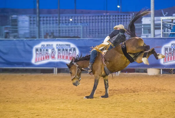 Clark county fair i rodeo — Zdjęcie stockowe