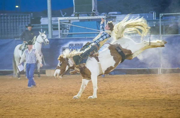 Clark county fair και ροντέο — Φωτογραφία Αρχείου