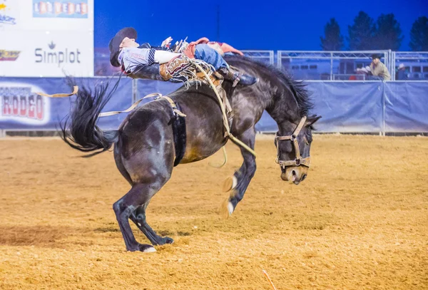 Clark County Fair and Rodeo — Stock Photo, Image