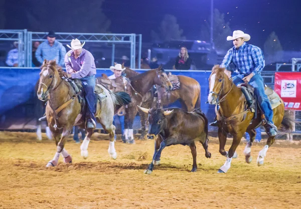 Clark county fair och rodeo — Stockfoto