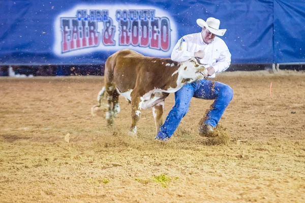 Clark County Fair and Rodeo — Stock Photo, Image