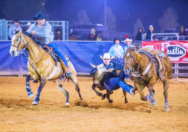 Clark county fair och rodeo — Stockfoto