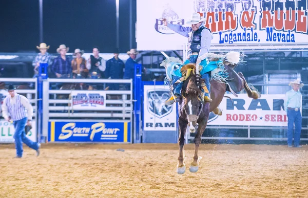 Clark County Fair and Rodeo — Stock Photo, Image