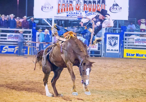 Clark County Fair e Rodeo — Foto Stock