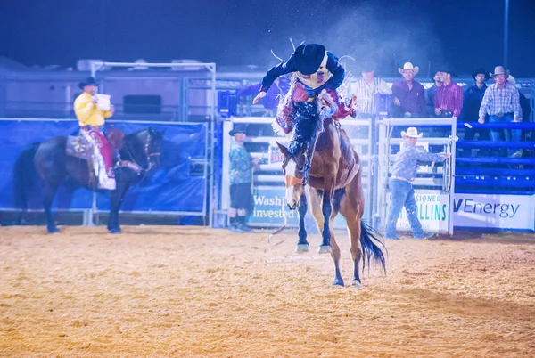 Clark county fair i rodeo — Zdjęcie stockowe