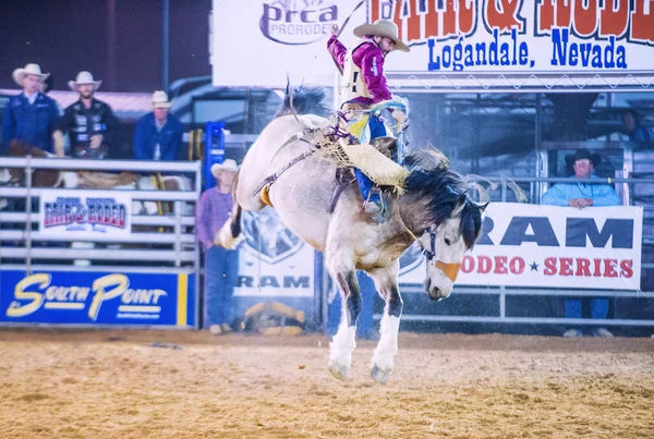 Feria y Rodeo del Condado de Clark — Foto de Stock