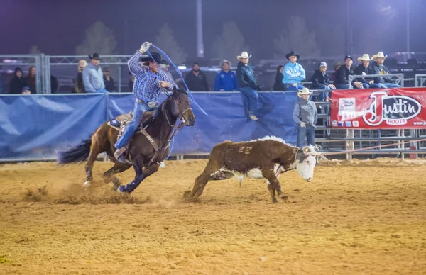 Clark County Fair e Rodeo — Foto Stock