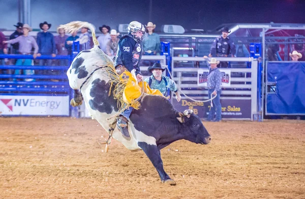 Clark county fair en rodeo — Stockfoto