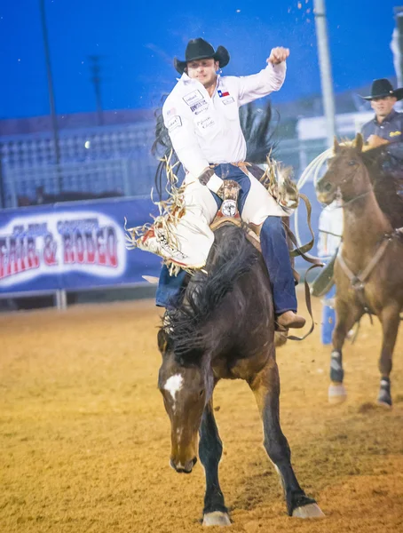 Clark county fair en rodeo — Stockfoto