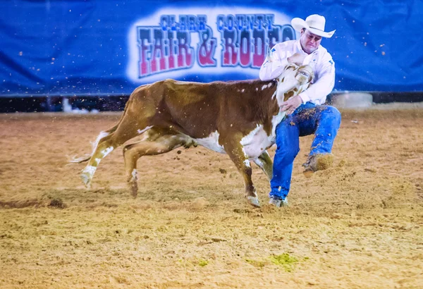 Clark county fair a rodeo — Stock fotografie