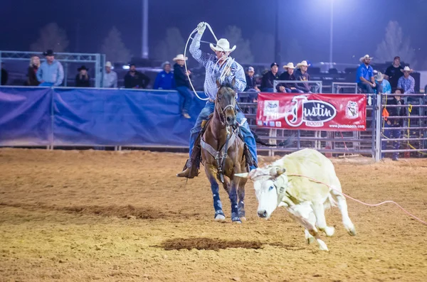 Clark county fair i rodeo — Zdjęcie stockowe