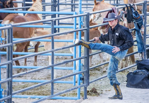 Helldorado dagar rodeo — Stockfoto